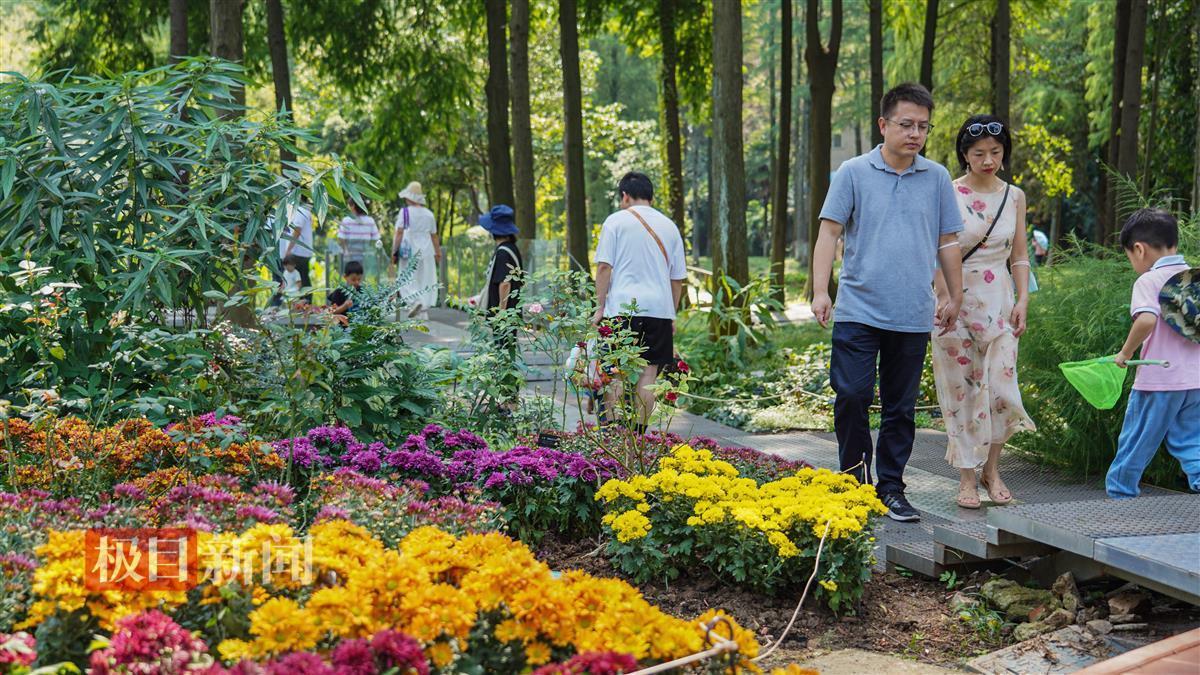 多宝游戏官网